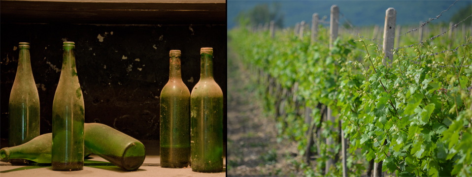 Small Carpathian Wine Tour